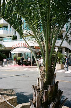 Casino-3956.jpeg